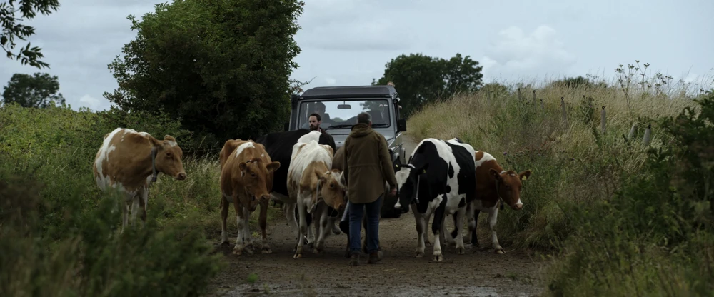 Still frame 46 from F1: The Movie (2025) directed by Joseph Kosinski