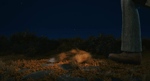 Still frame 99 from Fantastic Mr. Fox (2009) directed by Wes Anderson