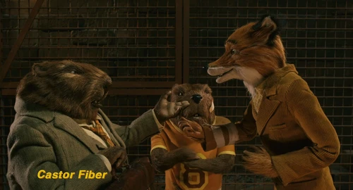 Still frame 196 from Fantastic Mr. Fox (2009) directed by Wes Anderson