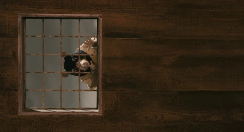 Still frame 223 from Fantastic Mr. Fox (2009) directed by Wes Anderson