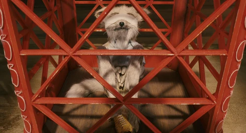 Still frame 225 from Fantastic Mr. Fox (2009) directed by Wes Anderson