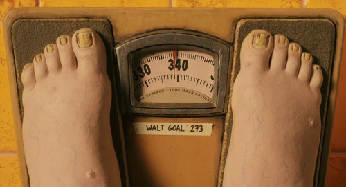 Still frame 28 from Fantastic Mr. Fox (2009) directed by Wes Anderson