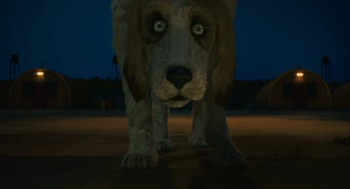 Still frame 59 from Fantastic Mr. Fox (2009) directed by Wes Anderson
