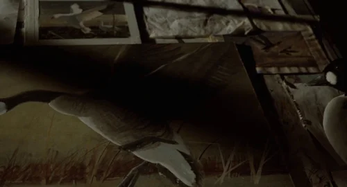 Still frame 47 from Fargo (1996) directed by Joel Coen, Ethan Coen