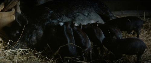 Still frame 4 from Fear Street: Part Three - 1666 (2021) directed by Leigh Janiak