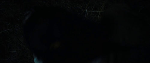 Still frame 44 from Fear Street: Part Three - 1666 (2021) directed by Leigh Janiak