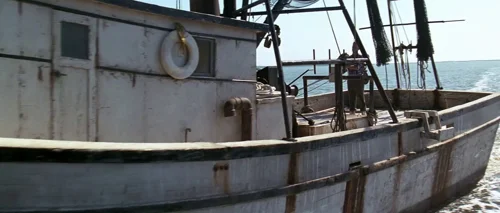Still frame 100 from Forrest Gump (1994) directed by Robert Zemeckis
