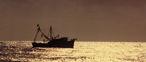 Still frame 107 from Forrest Gump (1994) directed by Robert Zemeckis