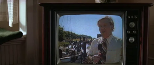 Still frame 113 from Forrest Gump (1994) directed by Robert Zemeckis