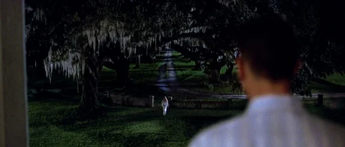 Still frame 121 from Forrest Gump (1994) directed by Robert Zemeckis