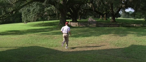 Still frame 129 from Forrest Gump (1994) directed by Robert Zemeckis