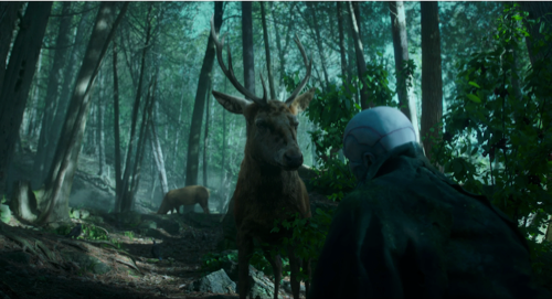 Still frame 365 from Frankenstein (2025) directed by Guillermo del Toro