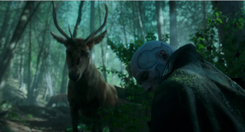 Still frame 367 from Frankenstein (2025) directed by Guillermo del Toro