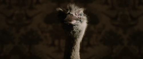 Still frame 177 from Frewaka (2024) directed by Aislinn Clarke