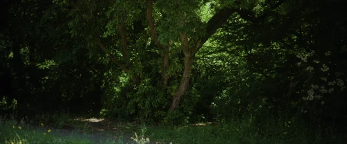 Still frame 212 from Frewaka (2024) directed by Aislinn Clarke