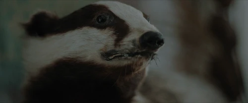 Still frame 214 from Frewaka (2024) directed by Aislinn Clarke