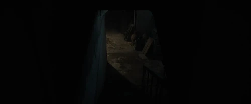 Still frame 224 from Frewaka (2024) directed by Aislinn Clarke
