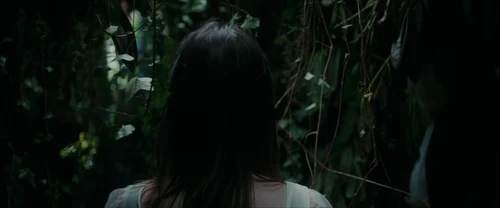 Still frame 266 from Frewaka (2024) directed by Aislinn Clarke
