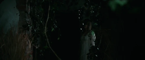 Still frame 267 from Frewaka (2024) directed by Aislinn Clarke