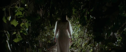 Still frame 268 from Frewaka (2024) directed by Aislinn Clarke
