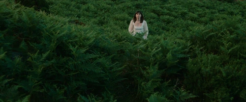 Still frame 269 from Frewaka (2024) directed by Aislinn Clarke