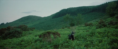 Still frame 1 from Frewaka (2024) directed by Aislinn Clarke