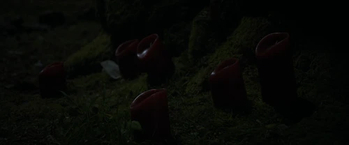 Still frame 44 from Frewaka (2024) directed by Aislinn Clarke