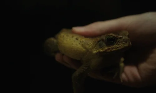 Still frame 133 from Friendship (2024) directed by Andrew DeYoung