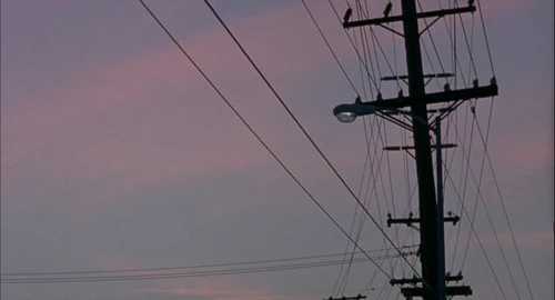 Still frame 202 from Ghost World (2001) directed by Terry Zwigoff