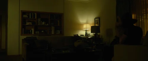 Still frame 81 from Gone Girl (2014) directed by David Fincher