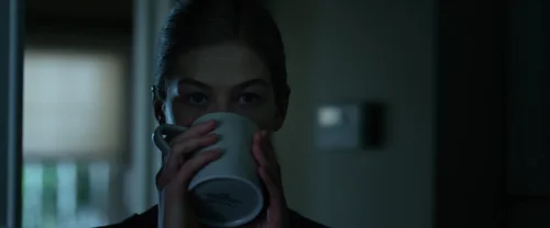 Still frame 130 from Gone Girl (2014) directed by David Fincher