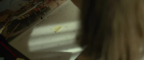 Gone Girl