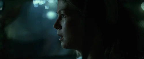 Still frame 187 from Gone Girl (2014) directed by David Fincher