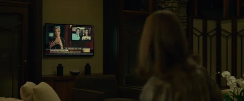Still frame 199 from Gone Girl (2014) directed by David Fincher