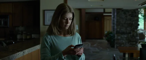 Still frame 201 from Gone Girl (2014) directed by David Fincher