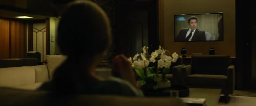 Still frame 206 from Gone Girl (2014) directed by David Fincher
