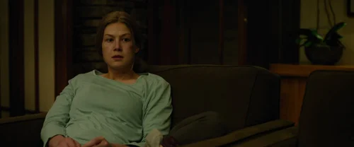 Still frame 210 from Gone Girl (2014) directed by David Fincher