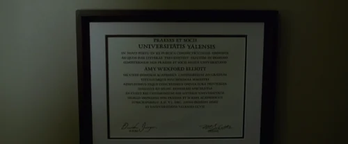 Still frame 21 from Gone Girl (2014) directed by David Fincher