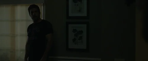 Still frame 249 from Gone Girl (2014) directed by David Fincher
