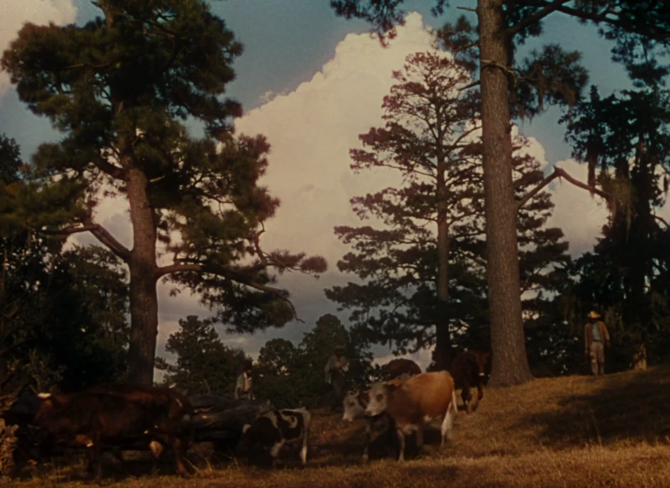 Still frame 6 from Gone with the Wind (1939) directed by Victor Fleming