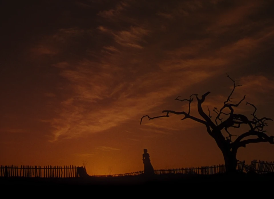 Still frame 135 from Gone with the Wind (1939) directed by Victor Fleming