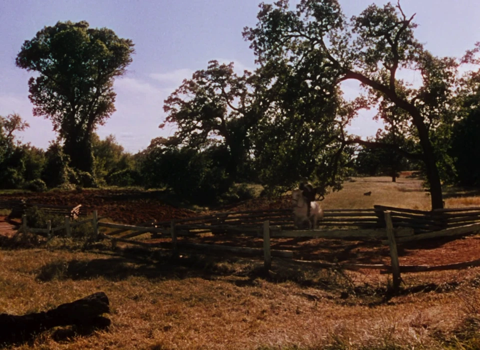 Still frame 7 from Gone with the Wind (1939) directed by Victor Fleming