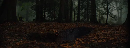 Gretel & Hansel (2020) - Film Stills