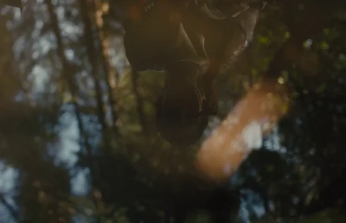Still frame 5 from Gretel & Hansel (2020) directed by Osgood Perkins