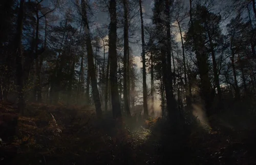 Still frame 23 from Gretel & Hansel (2020) directed by Osgood Perkins