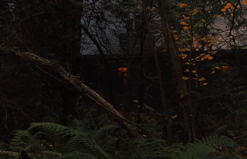 Still frame 33 from Gretel & Hansel (2020) directed by Osgood Perkins