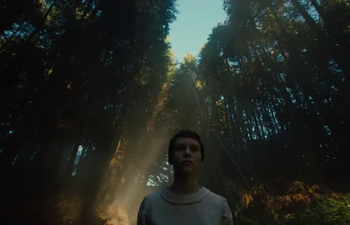 Still frame 138 from Gretel & Hansel (2020) directed by Osgood Perkins