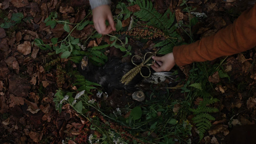 Still frame 104 from Hamnet (2025) directed by Chloe Zhao