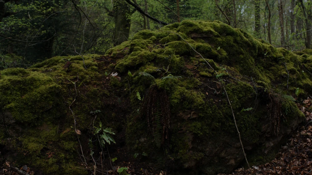 Still frame 119 from Hamnet (2025) directed by Chloe Zhao