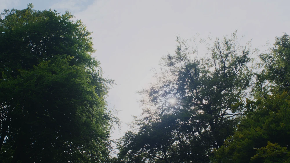 Still frame 25 from Hamnet (2025) directed by Chloe Zhao